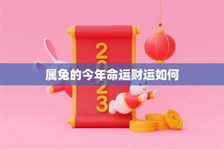 39年的兔在今年的运势