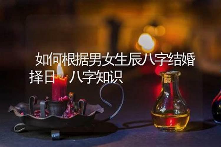 与鸡相匹配的生肖是什么