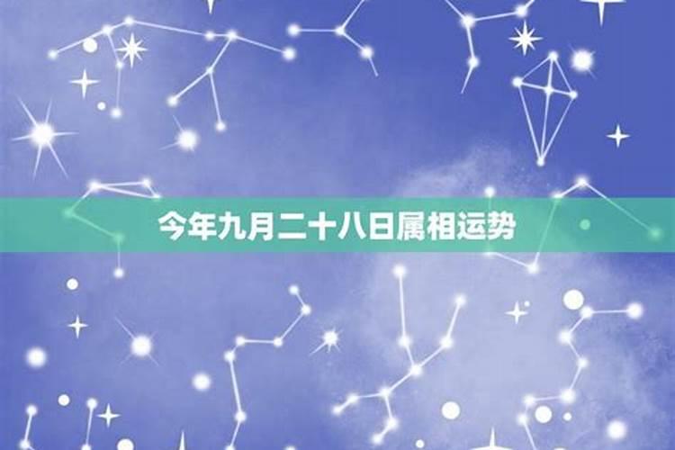 2023属马人幸运数字和幸运颜色和数字