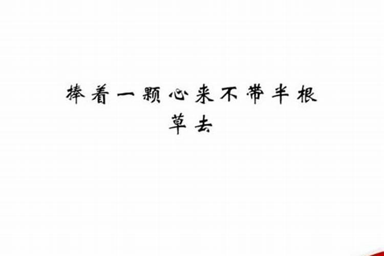 八字不合的前半句是什么