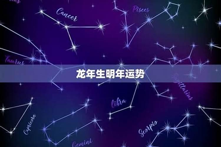 属蛇的感情2020年可以重新开始么