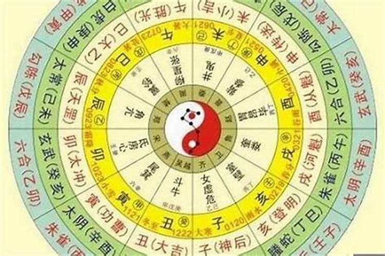 八字怎样看妻星和夫星