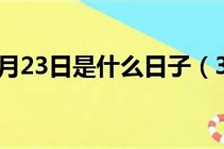 梦见好多虫子钻进人的身体里