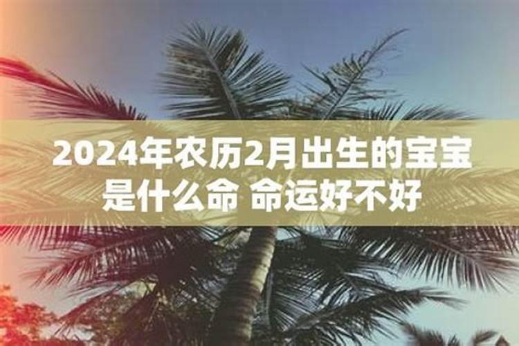 2021属鼠的算命