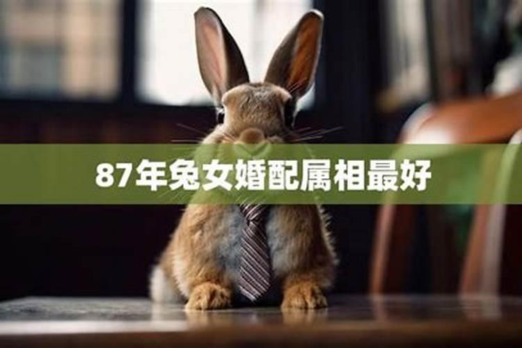 87年兔与78年马属相婚姻相配吗