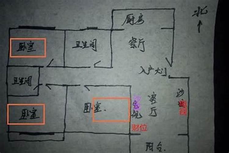 属鼠的2023年10运势如何