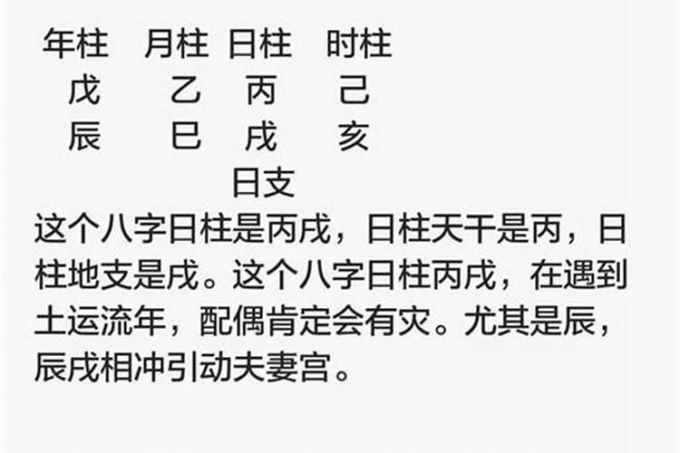 梦到蛇追着我跑是什么寓意