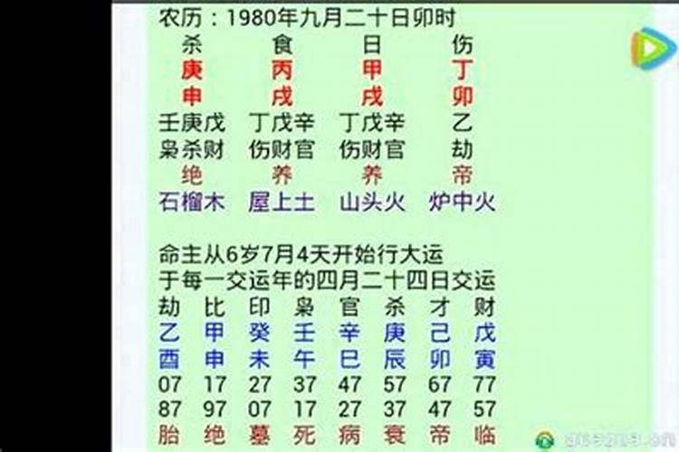 1994年出生的最佳婚配属相