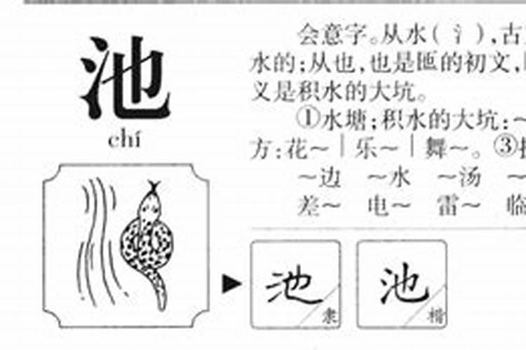 池五行属什么寓意吉祥的字