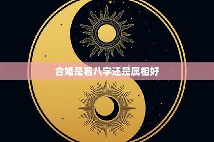 婚配看星座还是属相