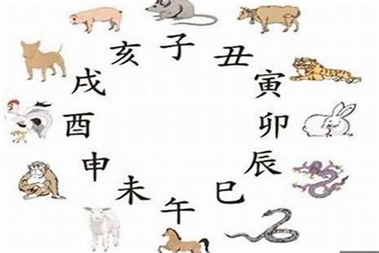 属猪人怕什么生肖