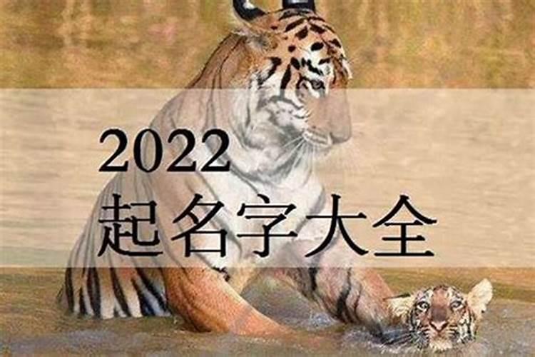 2023属虎男孩取名