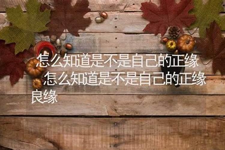 梦见老虎进屋什么意思