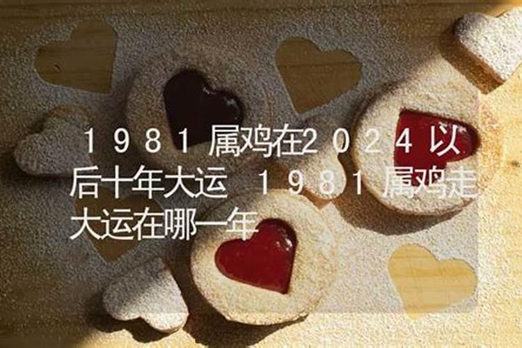 69属鸡未来10年运势如何