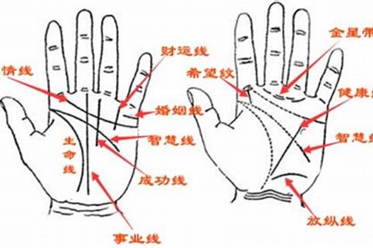 川字纹手相的命运如何呢