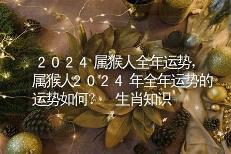 2024什么生肖犯太岁