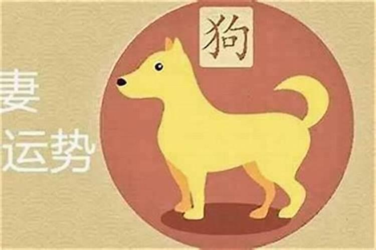 狗和什么生肖是兄弟