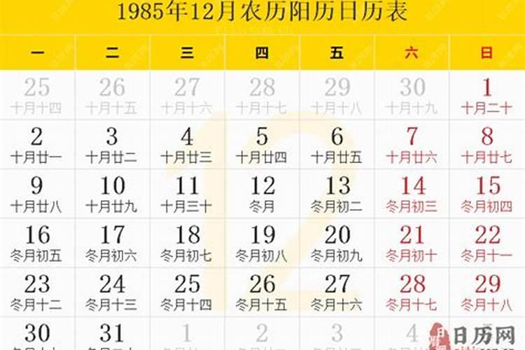 1985年12月21日八字