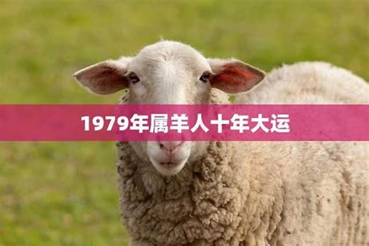 生肖羊10年运程如何