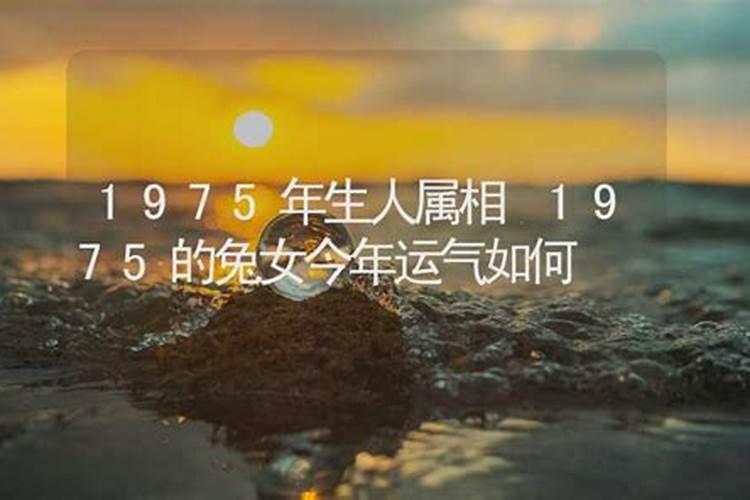 1975年今年运势如何