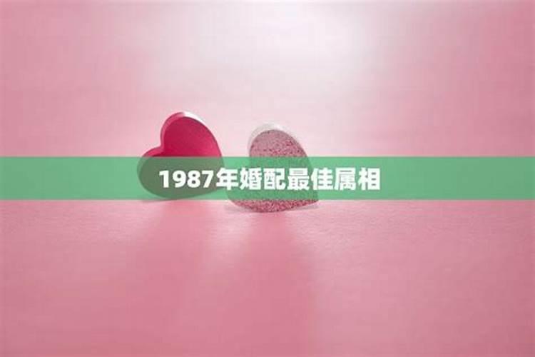 结婚属相与月份