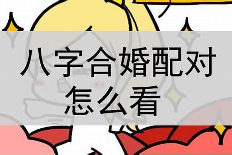 合伙生意八字配对