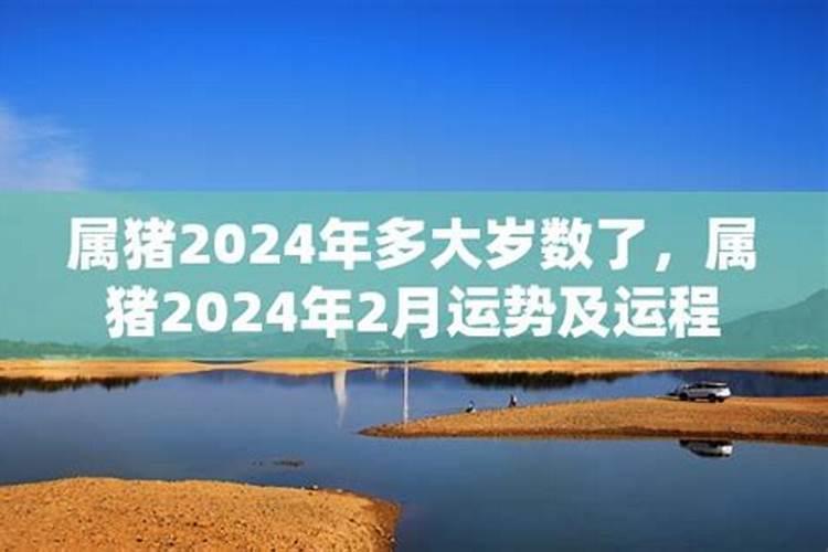 称骨算命2024年运势