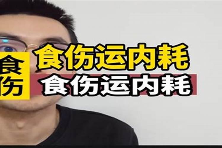 梦到在海边捡海螺和螺丝