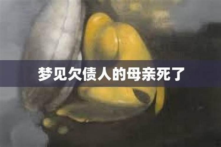 梦到去买衣服什么意思周公解梦