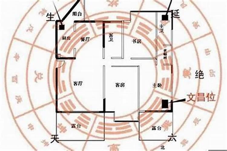 郑五行属什么的字