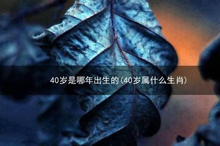 40岁属什么生肖哪年出生