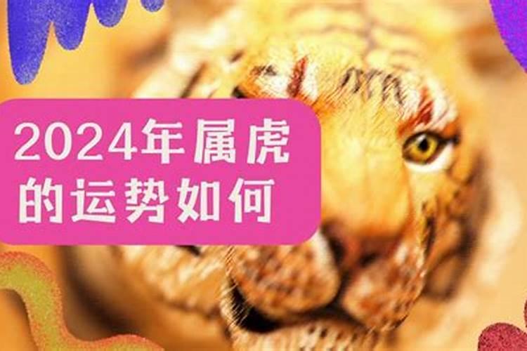 属虎的虎年运势2024年运势