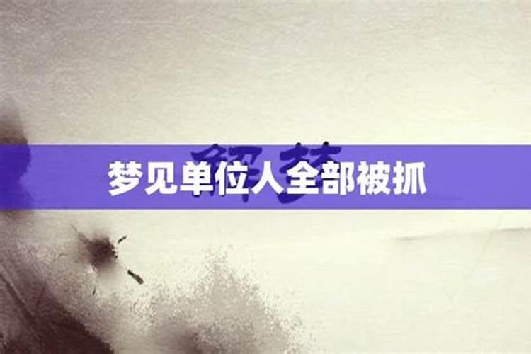 梦见单位同事是什么预兆