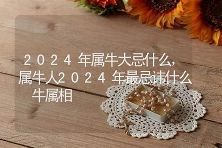 属牛人2023年忌什么颜色