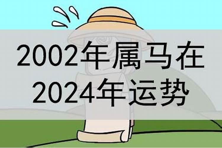 2002年属马的在2024年的运气