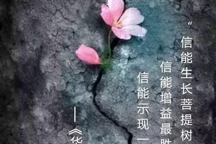 生活诸多不顺下一句