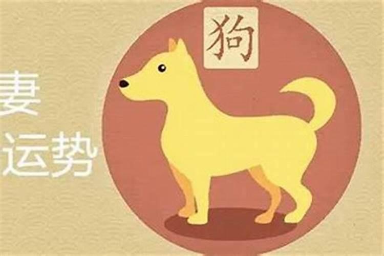 生肖属狗和属狗好不好