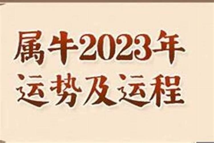 73年牛人2023年每月运势运程