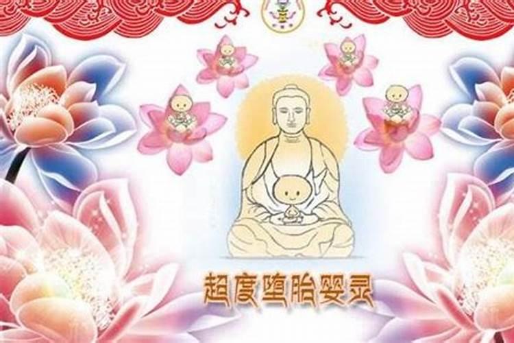 属相兔今年犯太岁吗女