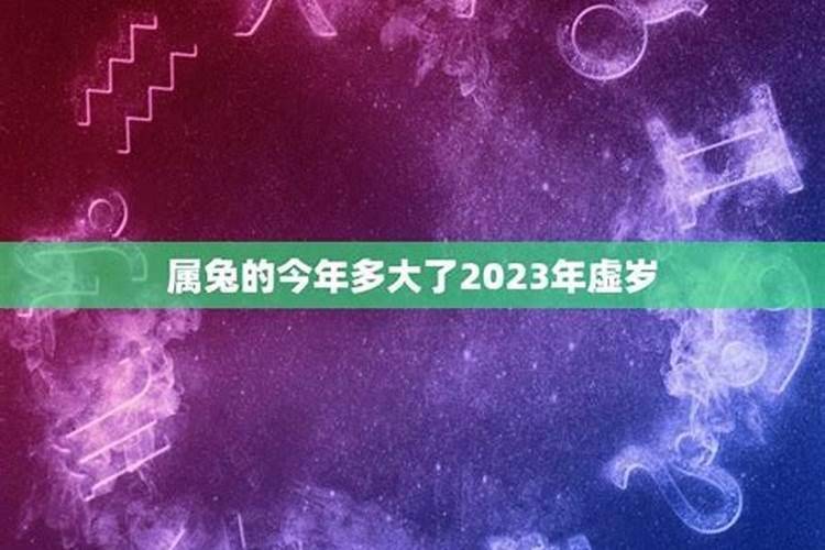 2023属兔的人