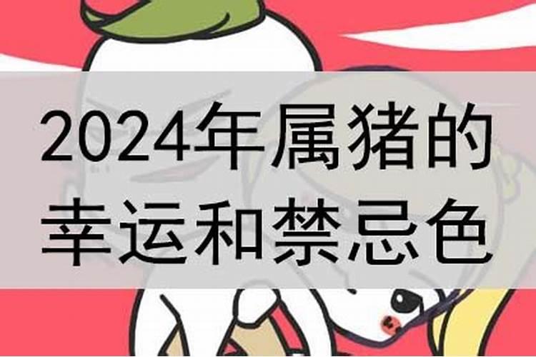 2024年属猪大忌颜色