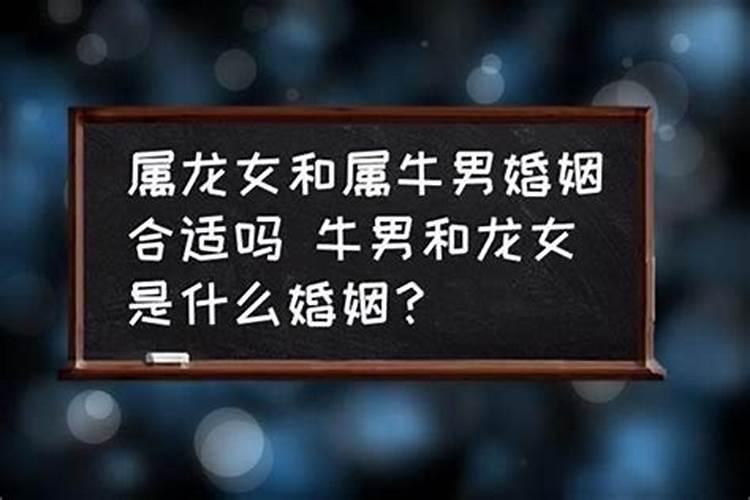 男牛女牛的婚姻状况