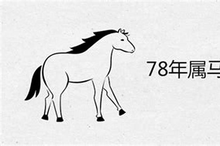 78年属马42岁以后财运怎么样2024年能发财吗