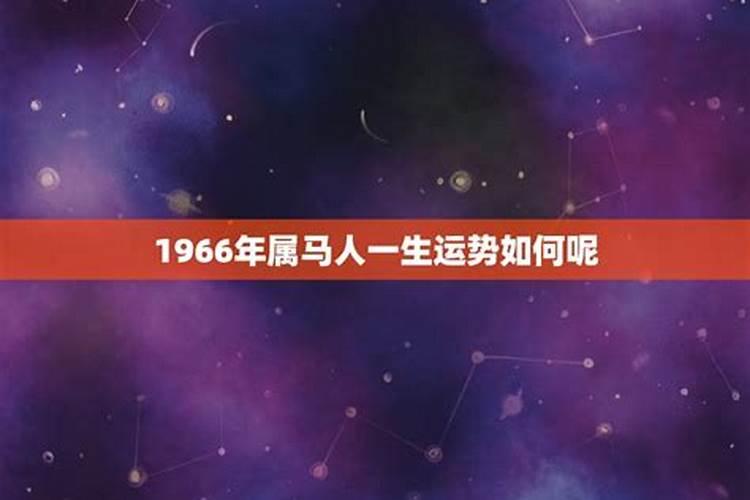 马年1966年出生的人