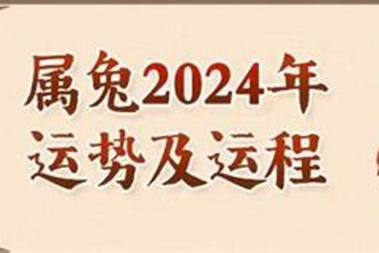 属兔87年4月19运程如何