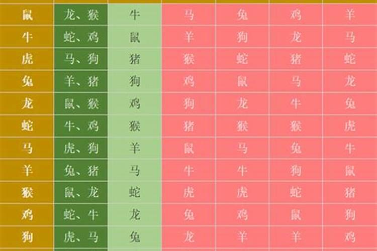 生肖虎的三合6合