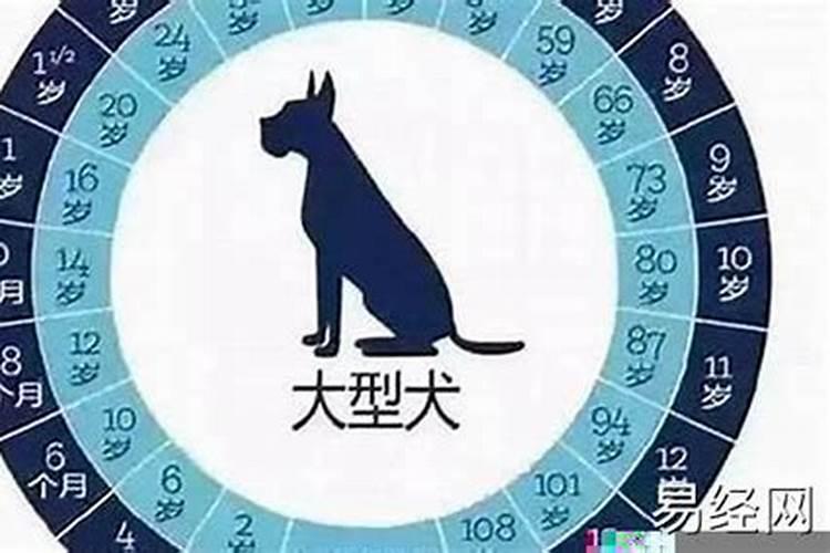 2021年天枰座运势大全