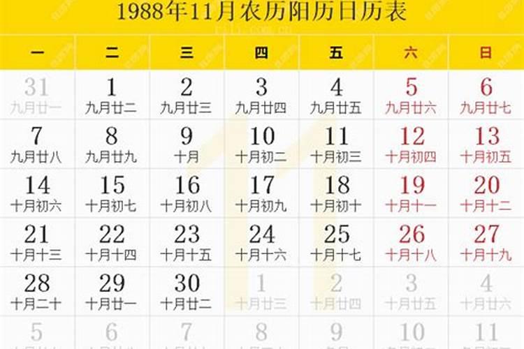 1988年11月初九八字