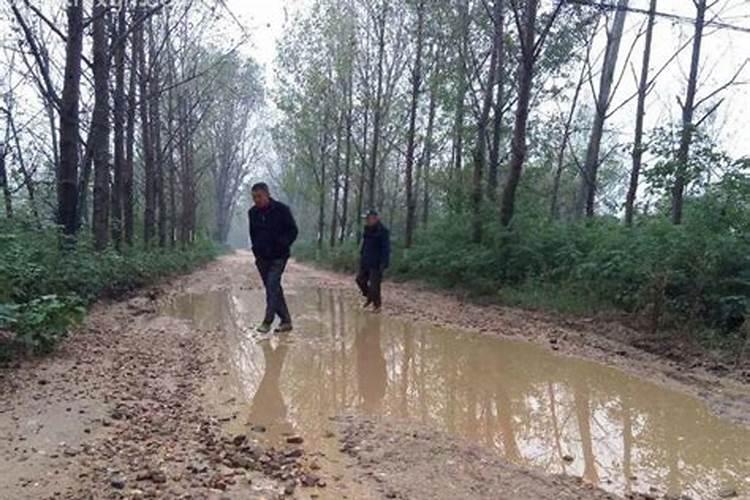 梦见下雨天在路上行走