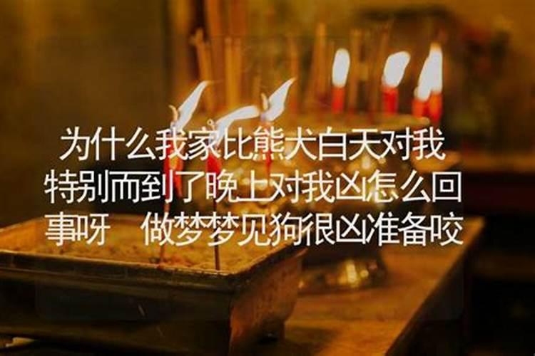 梦到一个女人对我特别好